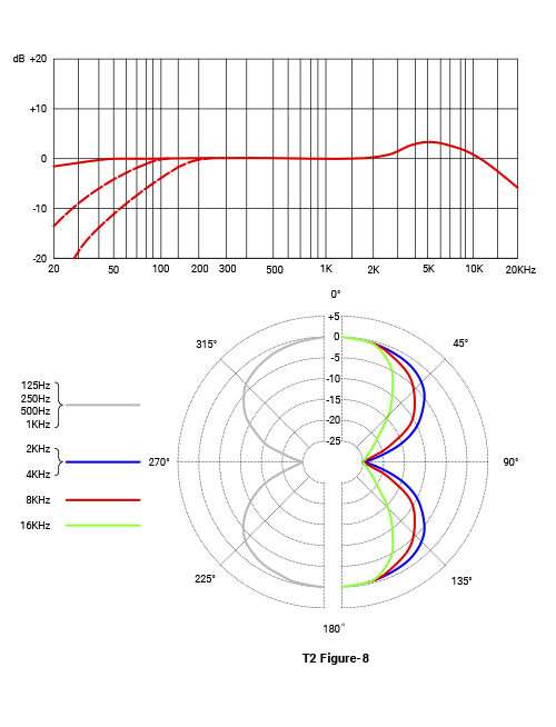 SE Electronics T2